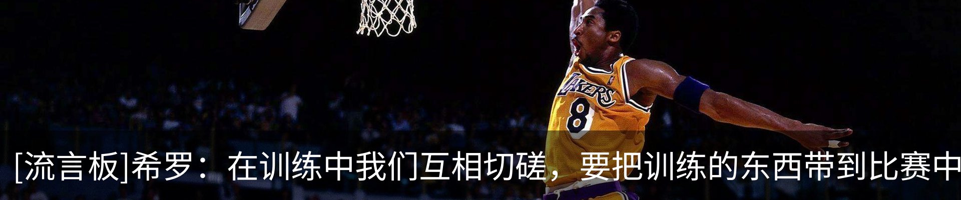 最新动态